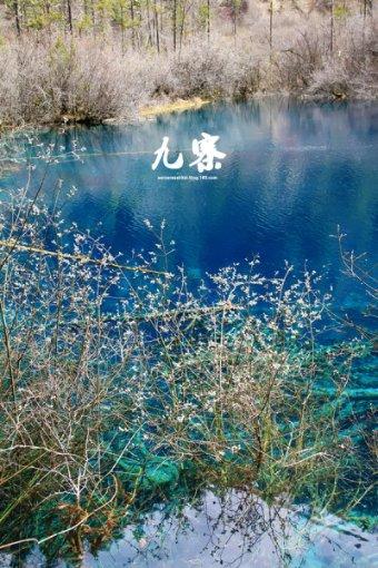疯狂球球极限求生